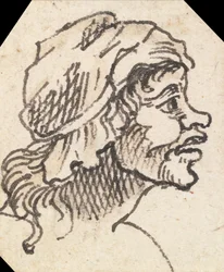 Grotesk Vrouwelijk Hoofd